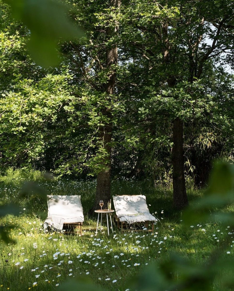 greendreamvibes's tweet image. 