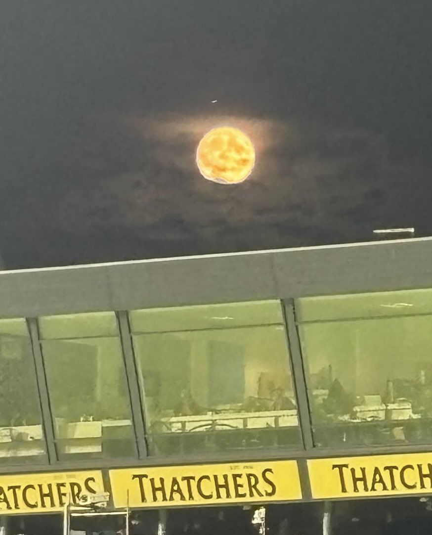 Marie Tucker tweet media