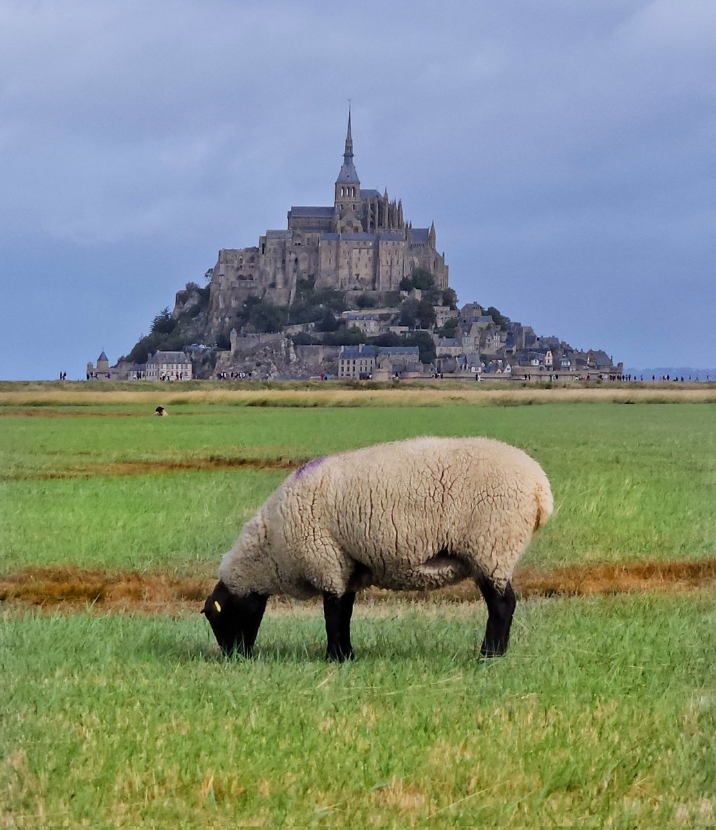 Pauper 🎈 (@lauyeahhh) on Twitter photo 