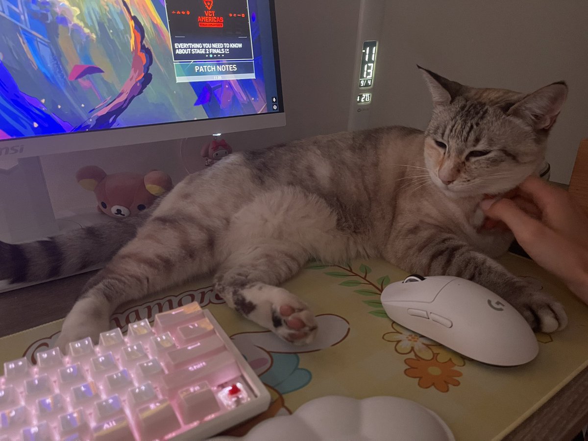 yulii_____'s tweet image. I wanna play val again #relapsing #ihatemarvelrivals