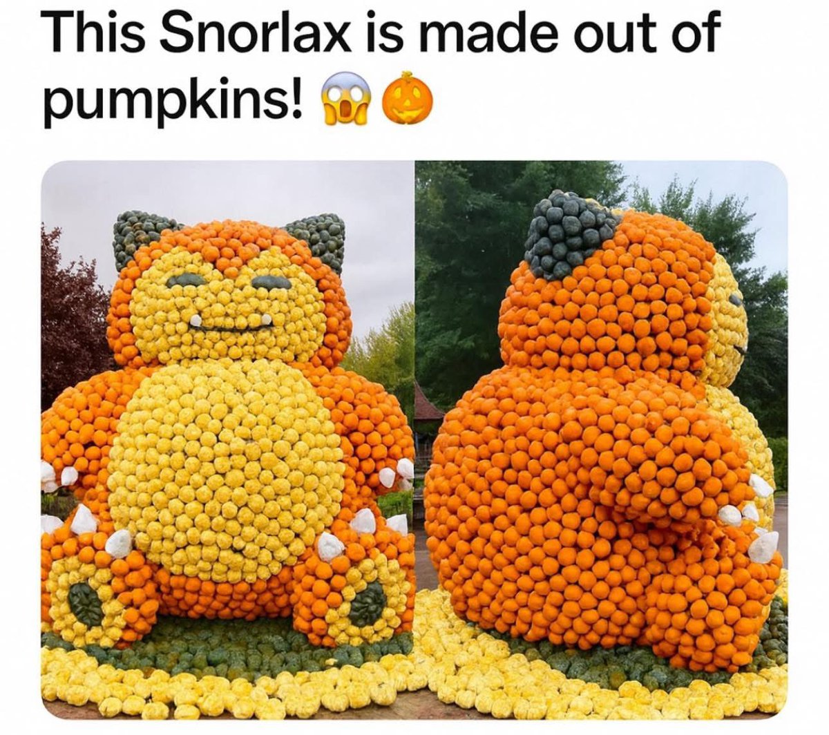 waynehum's tweet photo. @Syndicate scrap the pumpkin picking day idea and build this 😂 #110farm #pumpkins 🎃 https://t.co/rRi7M03aws