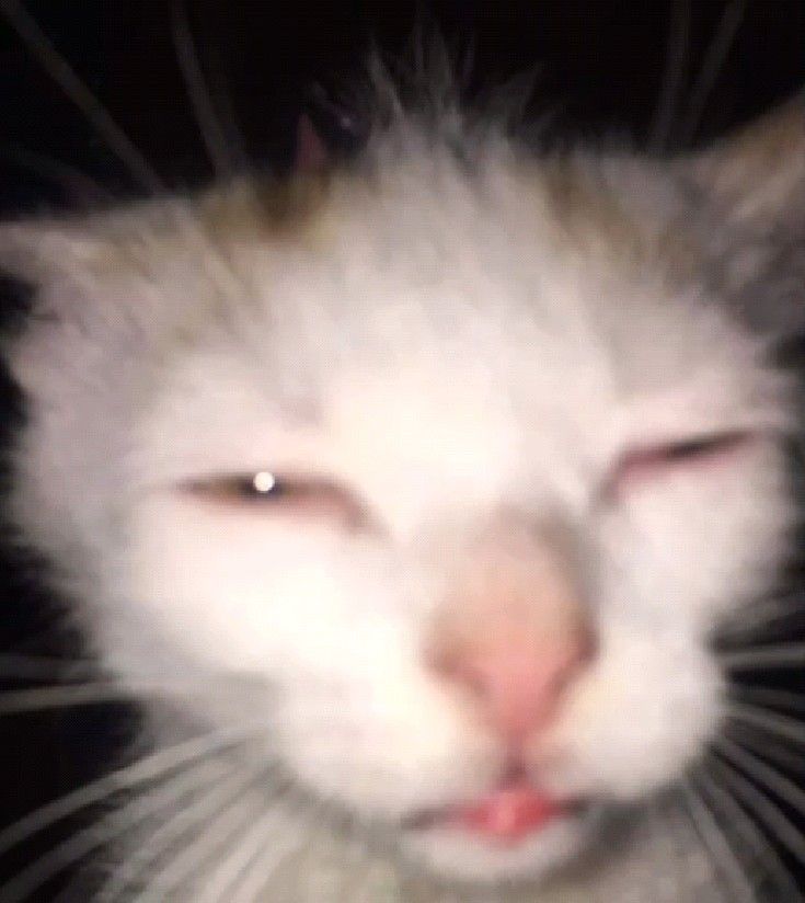 hellzroth's tweet image. #𝐒𝐏𝐍𝙈𝙞𝙙𝙣𝙞𝙜𝙝𝙩𝙍𝙪𝙨𝙝