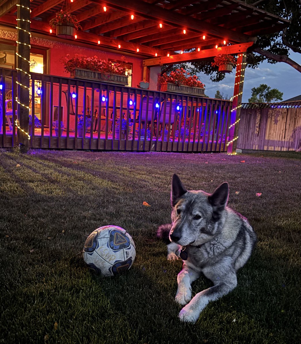 Carol Rickman (@skidog2tundra) on Twitter photo <a href="/gothunderwolves/">CSU Pueblo ThunderWolves</a> <a href="/csup_wsoccer/">CSU Pueblo Women's Soccer</a> Roch Solid Ladies!! #MyPackRochs #TeamTundraPack <a href="/gothunderwolves/">CSU Pueblo ThunderWolves</a> <a href="/csup_wsoccer/">CSU Pueblo Women's Soccer</a> Roch Solid Ladies!! #MyPackRochs #TeamTundraPack