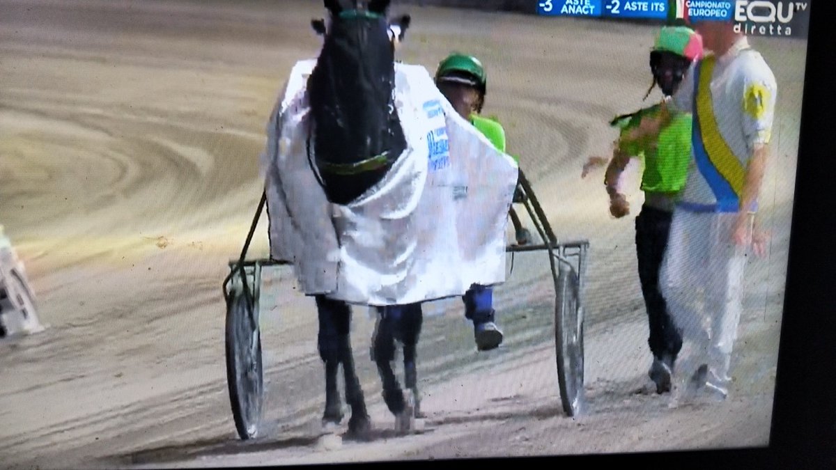 Dimitri Ferm,il Mack Lobell made italy