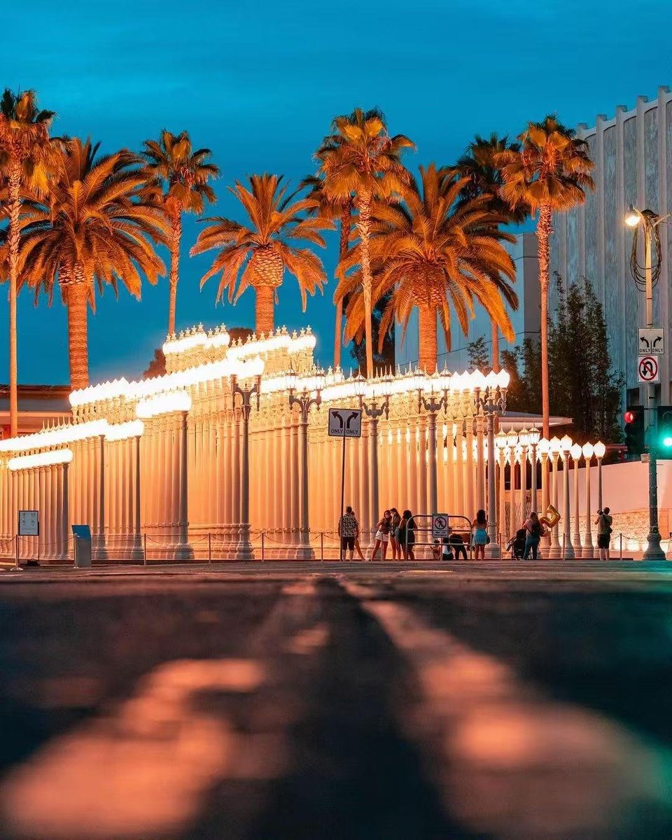 MeksPro's tweet image. "City Lights and Shadows: Day and Night Scenery beneath the Palm Trees"