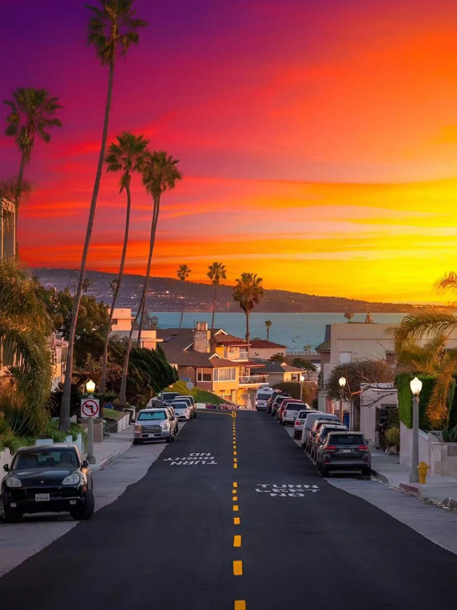 MeksPro's tweet image. "City Lights and Shadows: Day and Night Scenery beneath the Palm Trees"