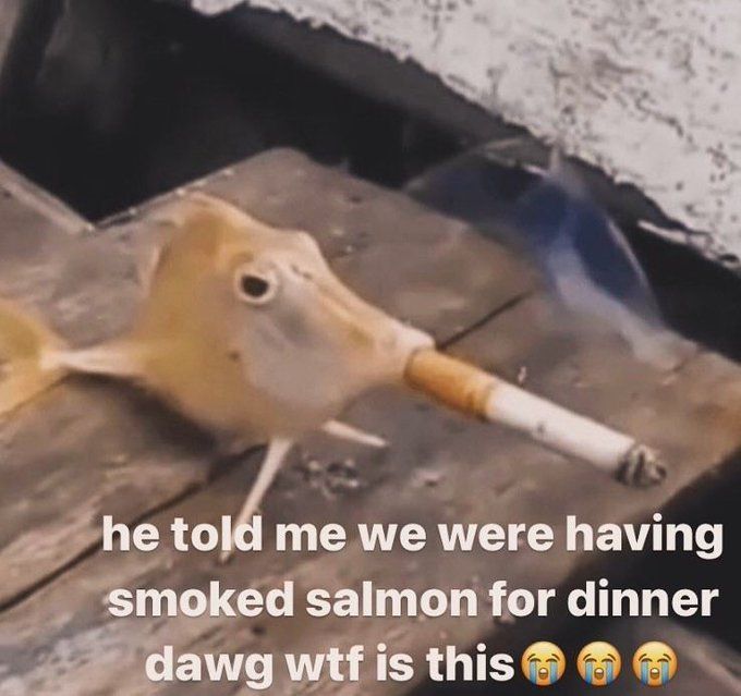 lowkeydex's tweet image. 