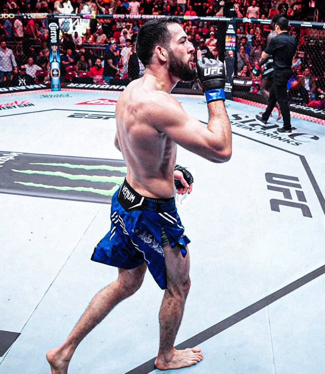 Combattants Turcs 🇹🇷 tweet media