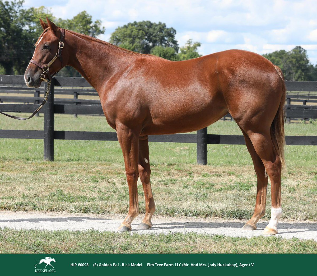 Elm Tree Farm tweet media