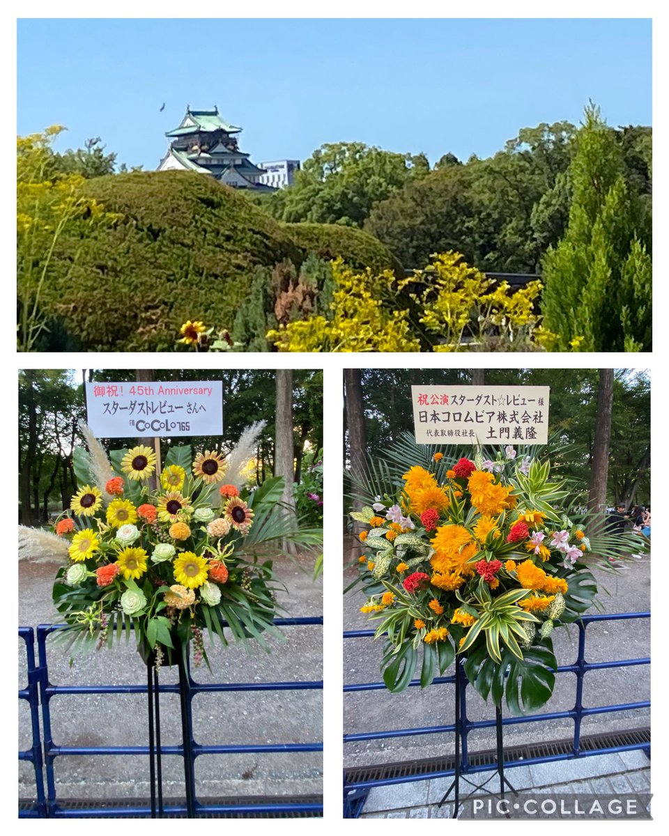 のんきー 🌷🚚💨 on X