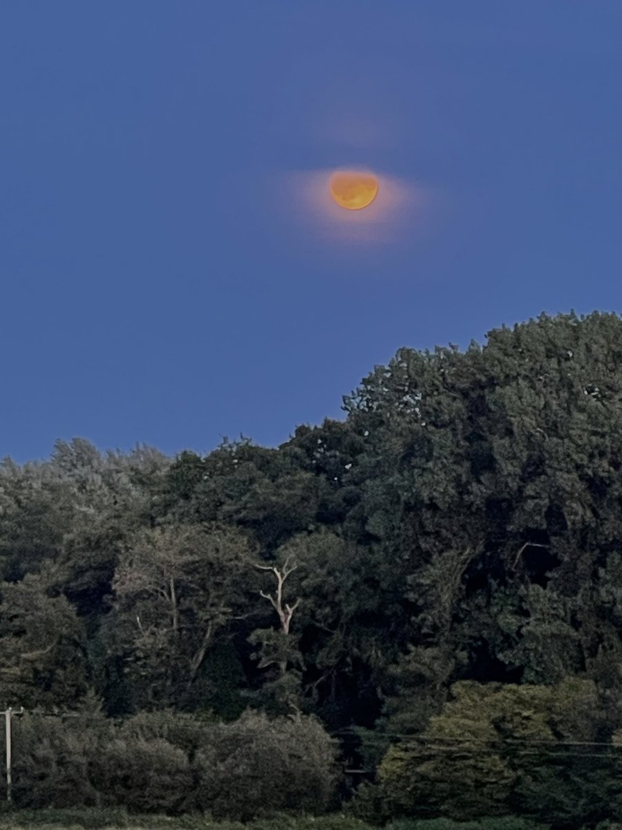 It’s nearly a full #Moon (98%) … #SweetDreams 🌙✨💫 and have a fun #weekend ♥️