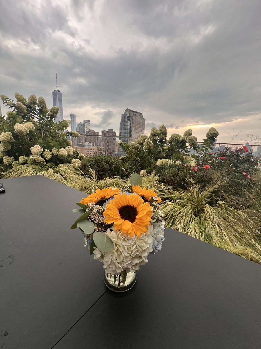 Good evening from nyc 🙋🏼‍♀️