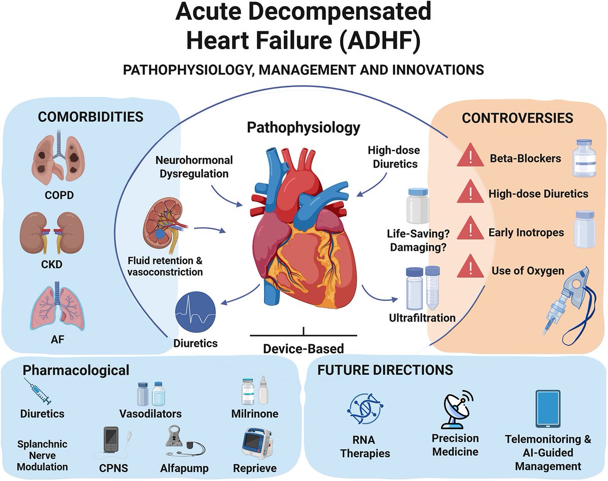 Advances and controversies in acute decompensated heart failure treatment: beta-blocker roles, emerging devices, and future directions

CCR Journal Watch - tracking the critical care literature daily
criticalcarereviews.com/latest-evidenc…