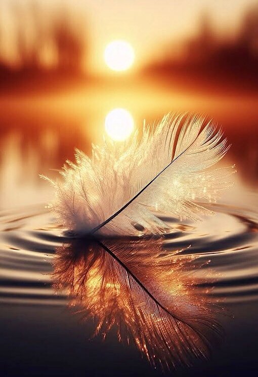 Lovely night, sweet dreams for all 🧡💫
#goodnight #sweetdreams #jandamichal