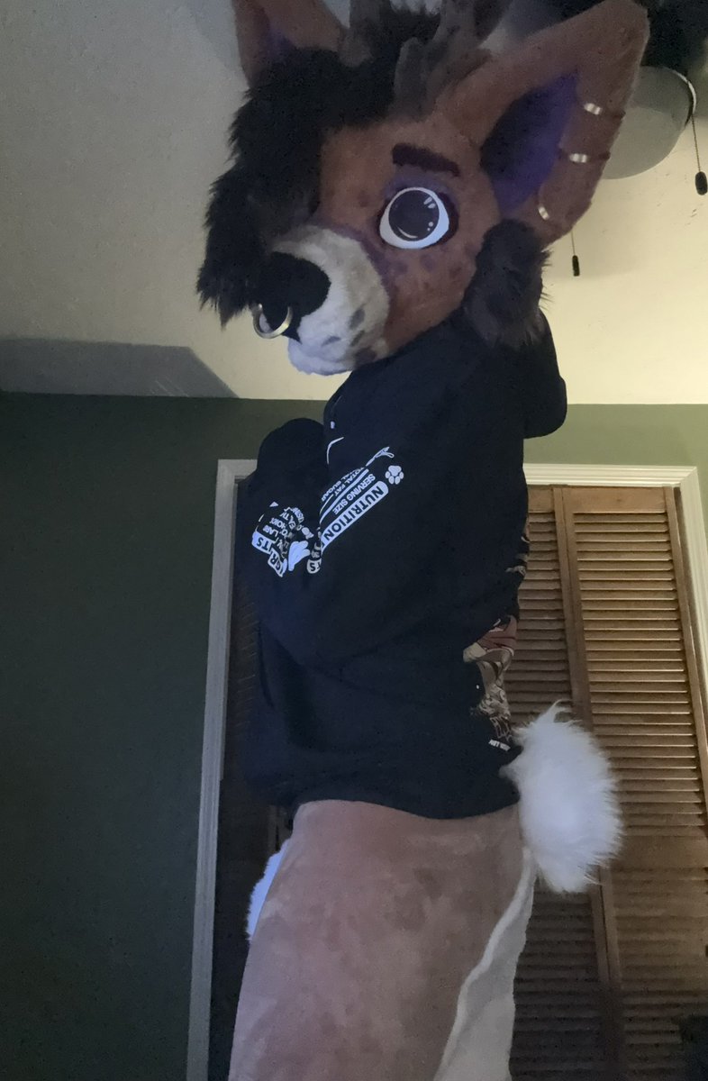 jWuffyAD's tweet photo. Felt cute! 🥰 https://t.co/HWNkyEabZ9