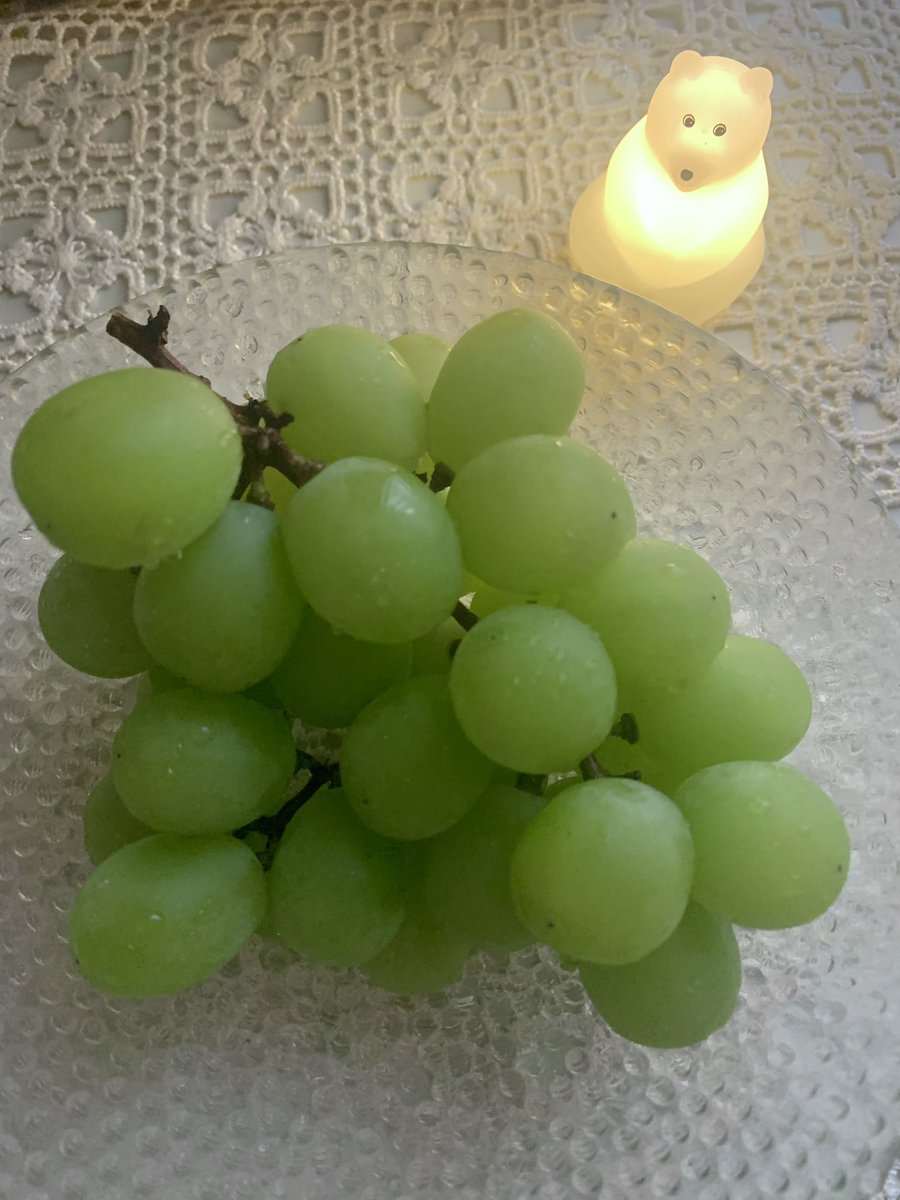 myao_my1's tweet image. #charmyおやつ 

福岡産シャインマスカットで
おはようございますございます🍇

 #エステー保護猫応援プロジェクト
#消費税廃止