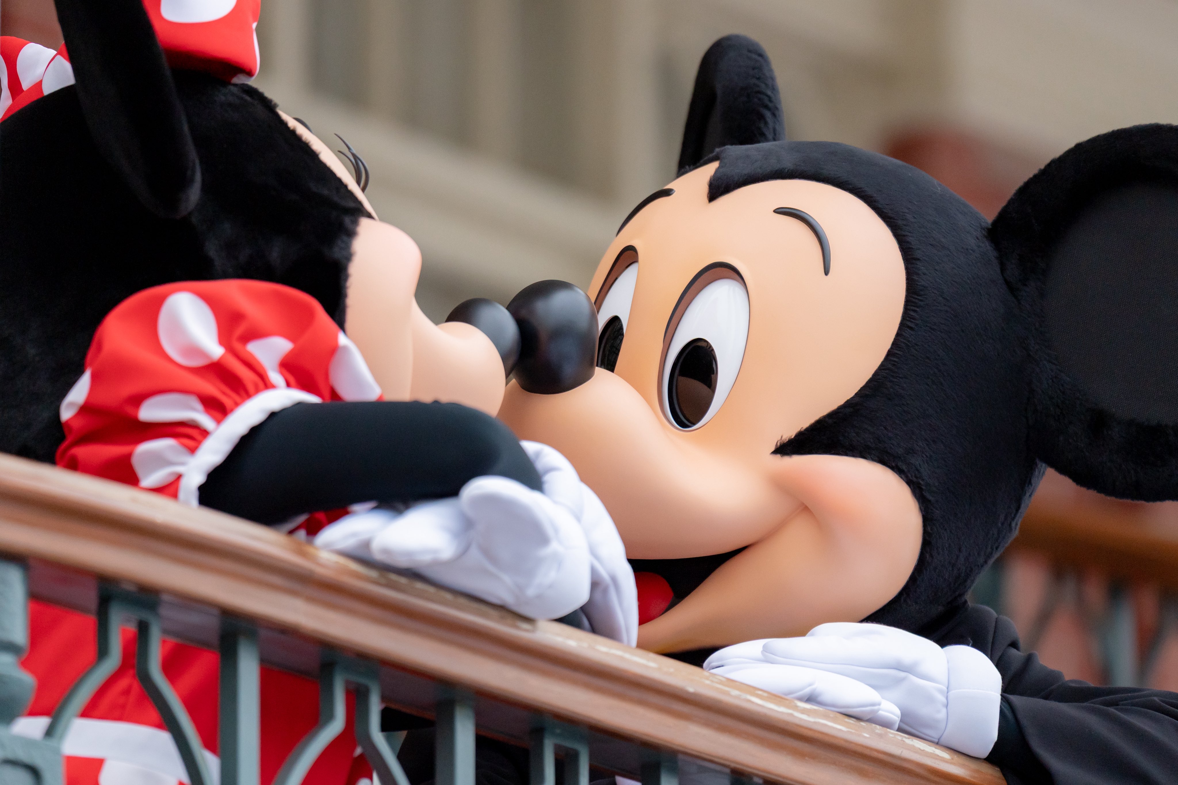 🐭 DISNEY - Search / X