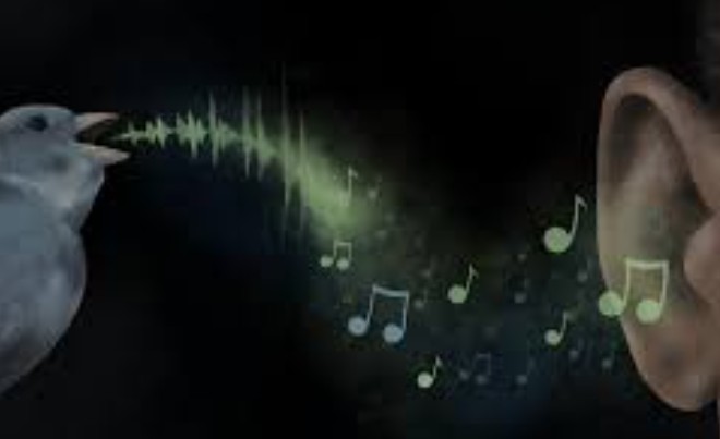 Dusty Bumps (@dusty_bumps) on Twitter photo 