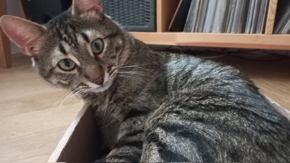 <a href="/alienoscats/">Dev-Pati</a> Ne oldu yine 😬