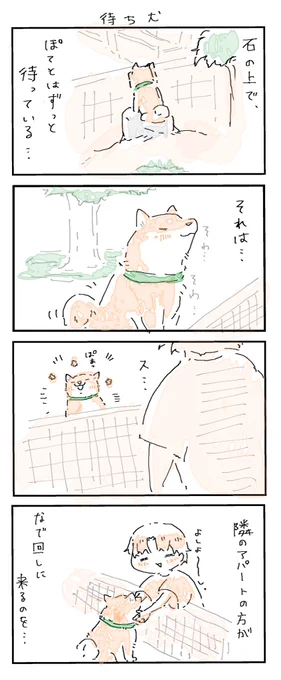 #4コマ漫画 #柴犬
ぽてとは待ってる(再掲) 