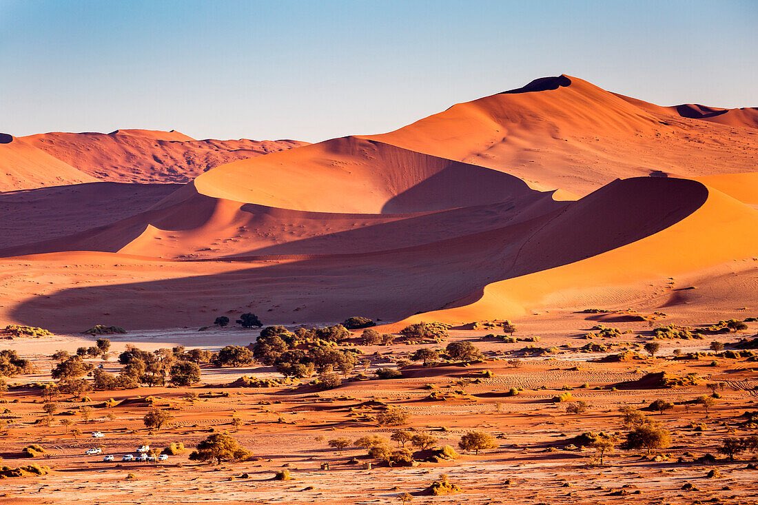rafiki_namibia's tweet photo. Sunday serenity in Namibia.
Where the only thing interrupting the silence is the whisper of the wind over ancient dunes and the distant call of a soaring eagle.
This is your sign to escape the ordinary. Where will your next adventure be?
#RafikiTours #TravelNamibia #ExploreAfrica https://t.co/wa8KHjlU9x