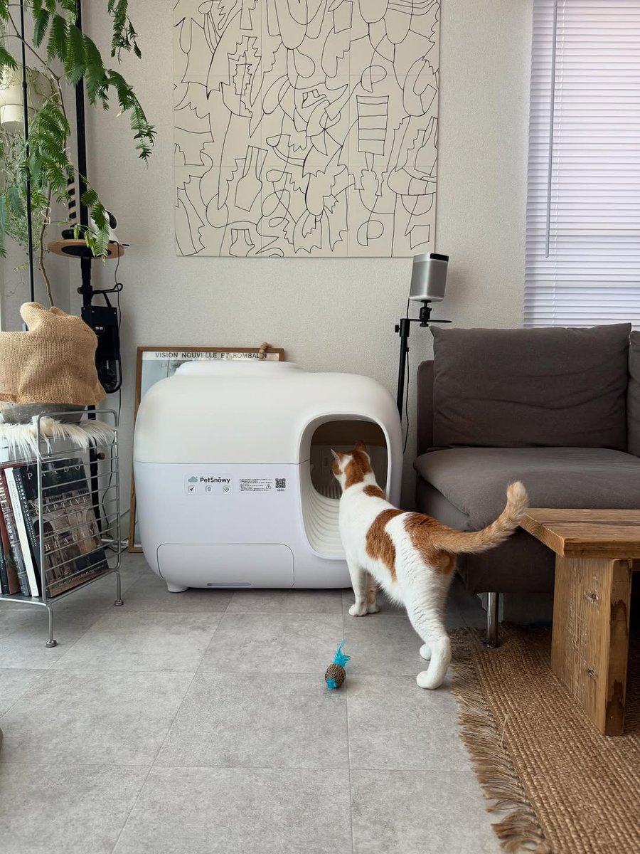 PetSnowy 「臭いを徹底分解」自動猫トイレ PREMIUM消臭 PetSnowy PS