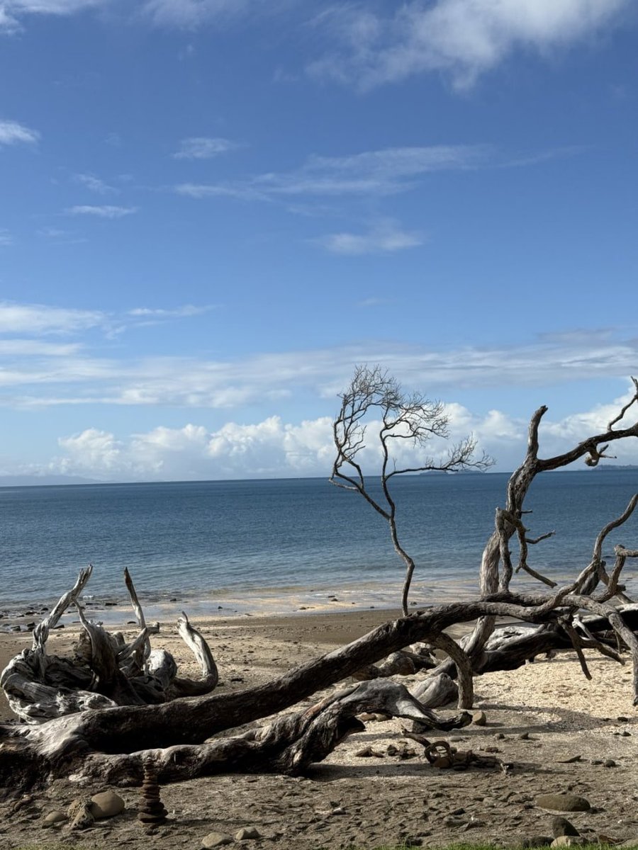 jayceee04's tweet image. 🏞 Had an amazing hiking experience on the Long Bay Trail on the North Shore last year!
Nature, sea and peace all together ✨🌿🌊