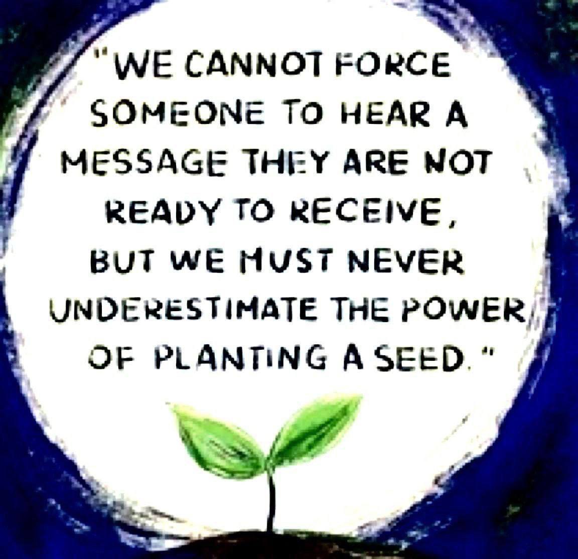 vegastar tweet media