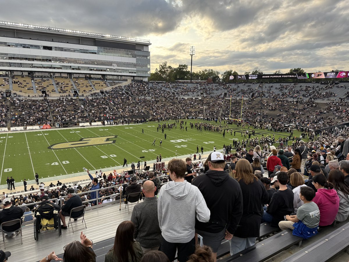 Boiled Sports tweet media