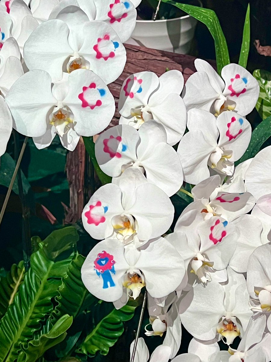 balmyco's tweet image. どうしても行きたかったTeck World。予約が取れた時は小躍りした😆
映像もなかなか興味深かったし、お土産のバックは早速使い会場でとても重宝。ルーロー飯も食べれたし、フルーツティがめっちゃ美味しかった💕絶対また台湾いこね！！と皆で約束！！
#万博　#techworld