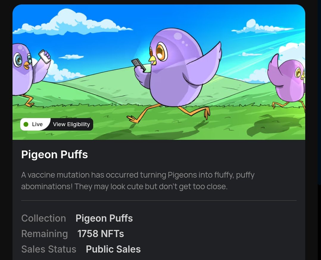 Ghettopigeons's tweet image. Just to summarize things up:

🏠Made huge improvements to our marketplace- including shuffles, auctions, and of course the primary and secondary markets. 

📲Launched @PigeonPuffs - 
Public shuffle is live- market.ghettopigeon.com/shuffles/68ba9…

🎮Launched our new game &apos;Puff hopper&apos; on the…