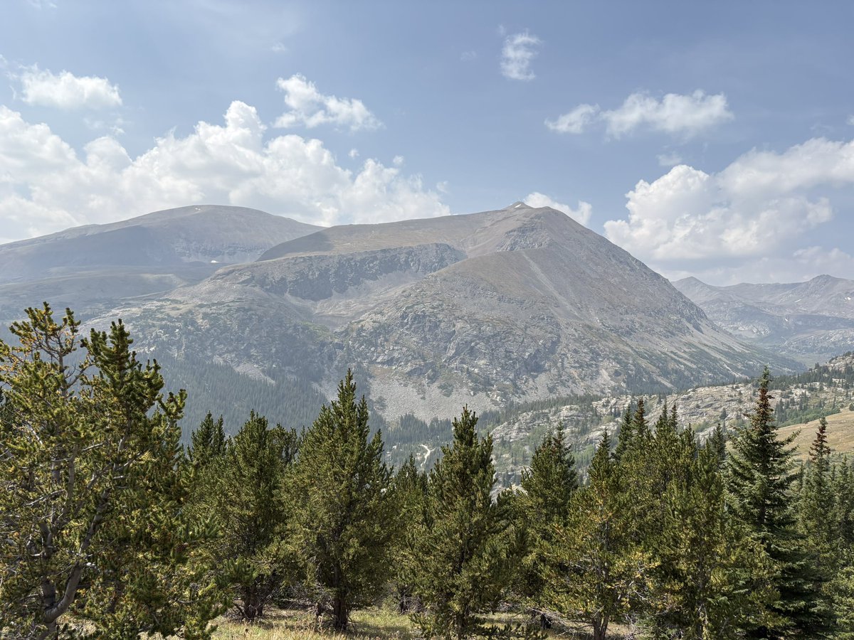 Maseroho's tweet image. Yes.