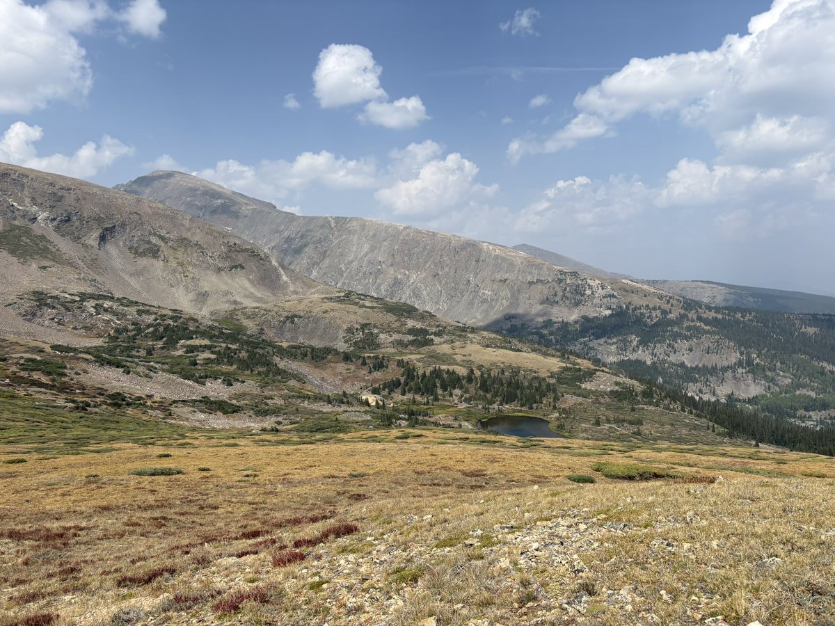 Maseroho's tweet image. Yes.