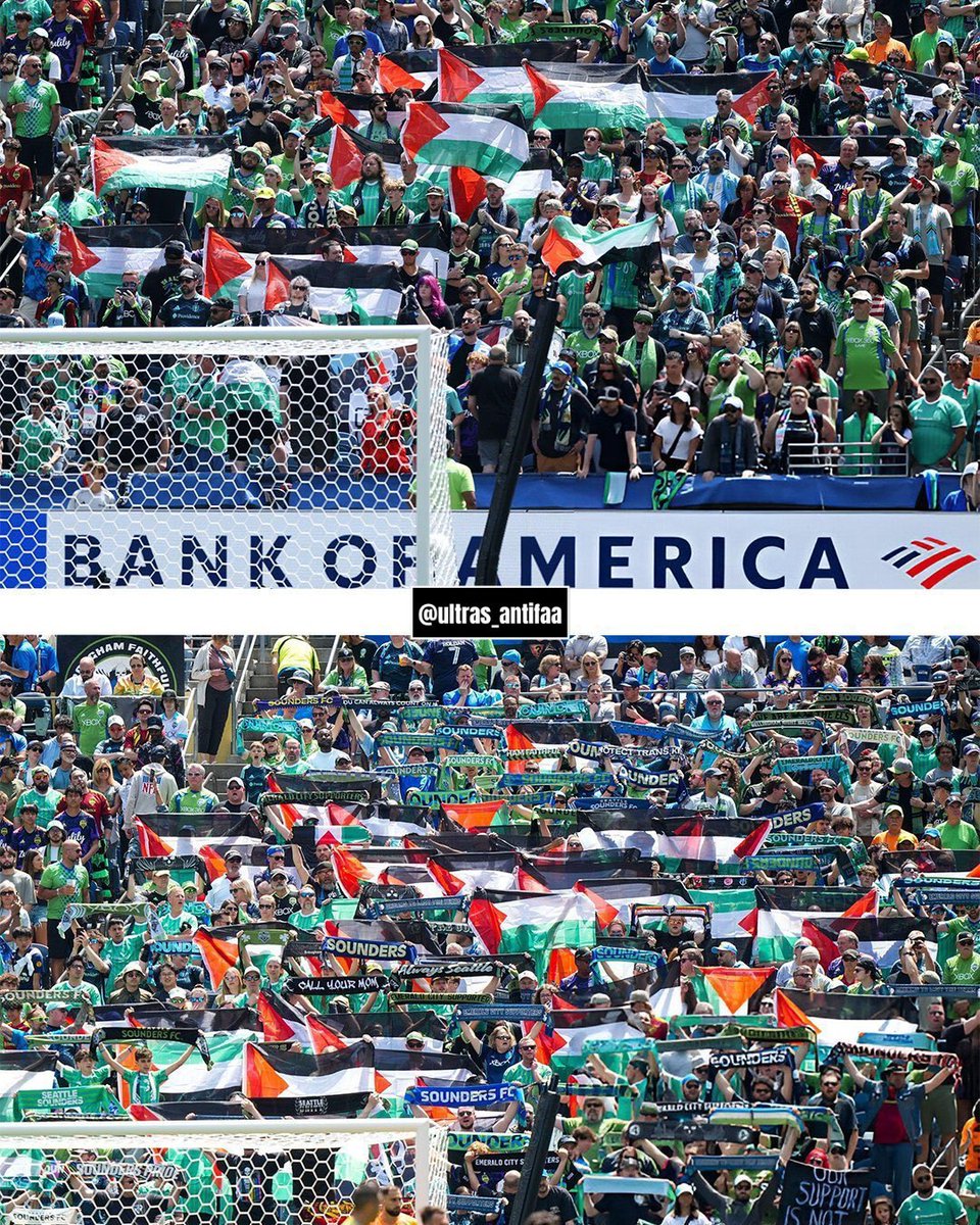 THE WORLD STANDS WITH PALESTINE!