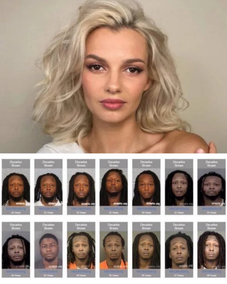 Pri_usabr1's tweet photo. Ela estava sentada ali, cuidando da própria vida. Não teve nenhuma interação com ele. O que o levou a assassiná-la? Lembra quando a Netflix alertou as mulheres para tomarem cuidado com os homens brancos no transporte público? Iryna Zarutska, de 23 anos, que escapou da Ucrânia em busca de segurança e um novo começo, foi ASSASSINADA no metrô de Charlotte, North Carolina.  O sangue de Iryna Zarutska está nas mãos do estado que libertou seu assassino 14 VEZES.