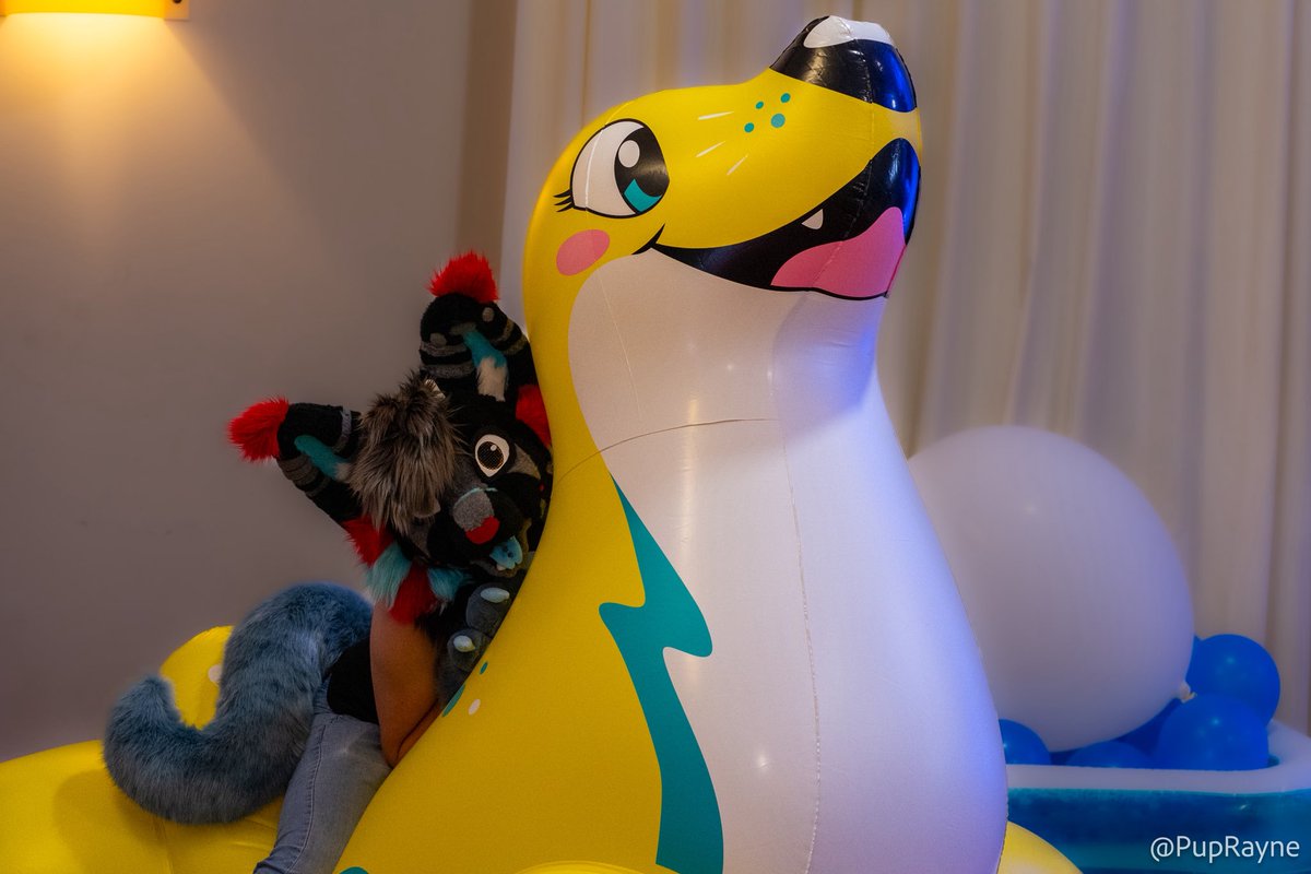 Happy errr… #SqueakySaturday or I uhhh I guess Sunday 😅 Sat on this uuuuuuuuuuuuge seal at the Inflatable panel @ Aberacon

📷 <a href="/Frost_Floof/">Frost Floof 🏴󠁧󠁢󠁷󠁬󠁳󠁿🏳️‍⚧️🏳️‍🌈🐺</a>