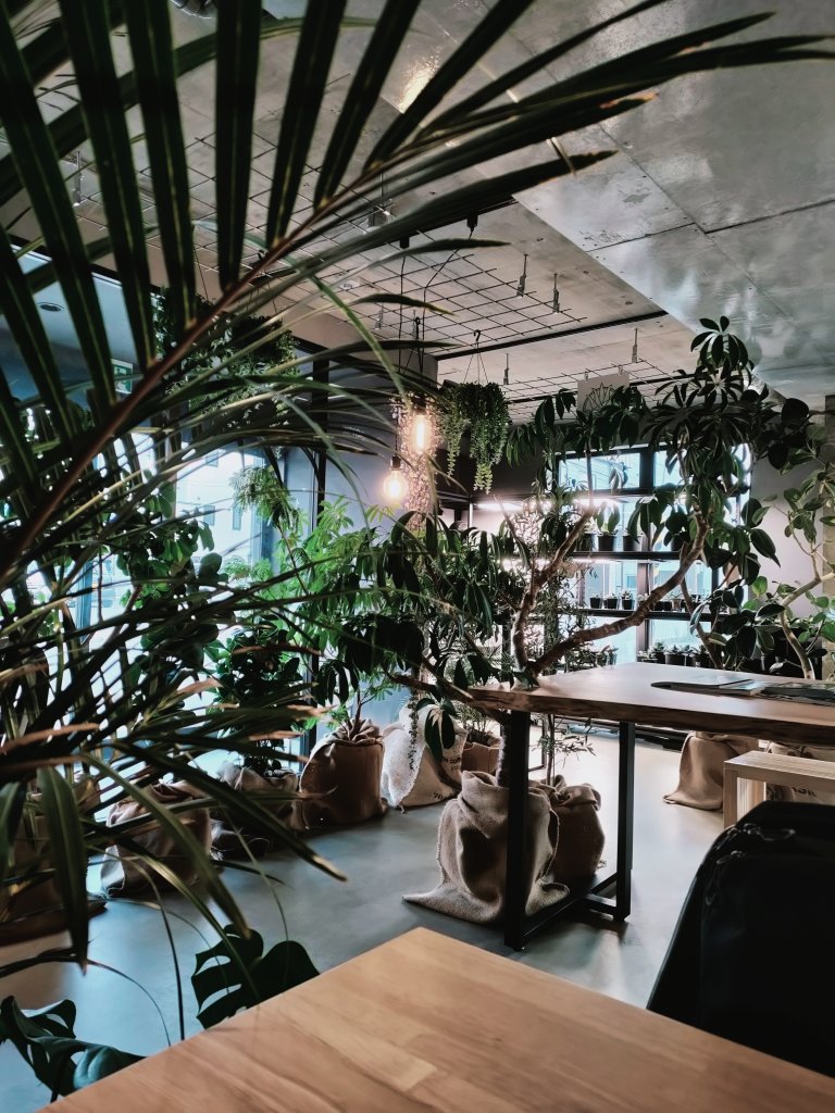 megu⑅﻿ページ 卒業旅行🌺🌴💖