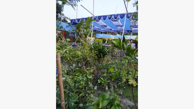 Yusuf_memory's tweet image. This image says it all 🌿
It starts with you. Make a difference.

View the post 👉 app.ecox.network/community/post…
Earn GREEN on @ECOX_ECOToEarn while you act:
app.ecox.network/register?refCo…

#ECOX #GREEN #ECO_TO_EARN