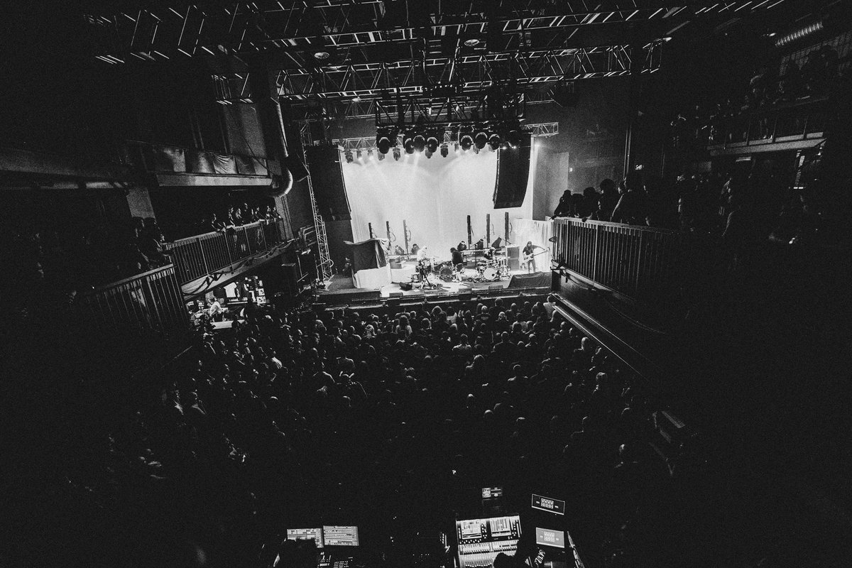 bailey, like the liquor tweet media