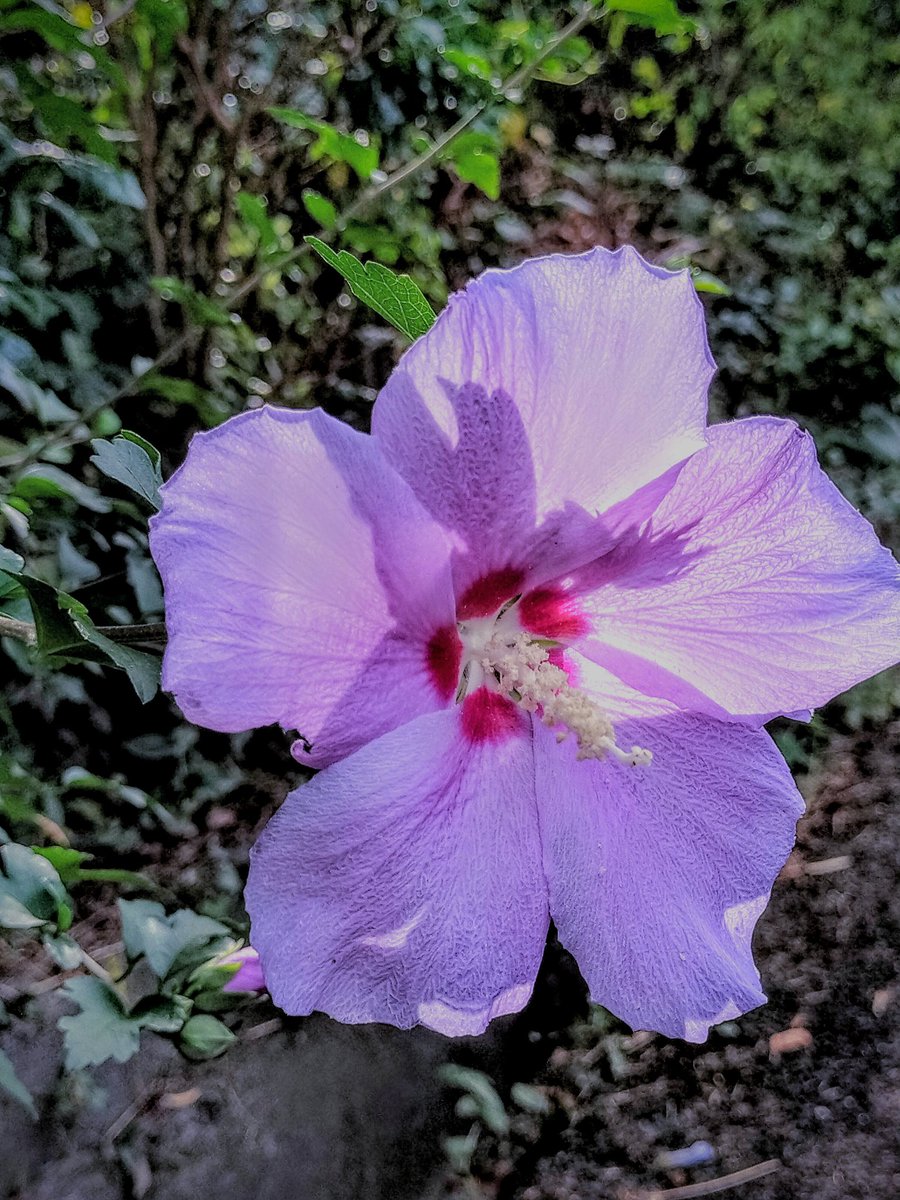 Keigo Taniguchi (@keigo_taniguchi) on Twitter photo 