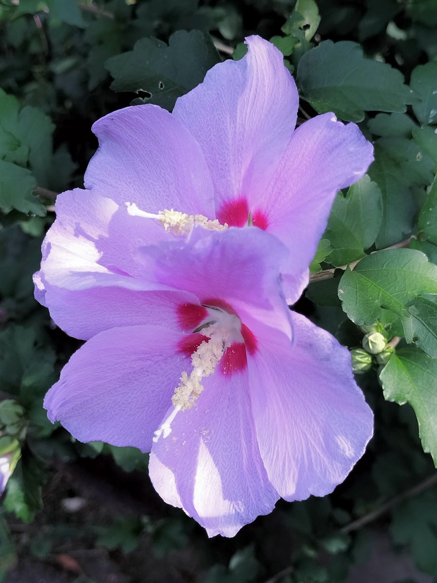 Keigo Taniguchi (@keigo_taniguchi) on Twitter photo 