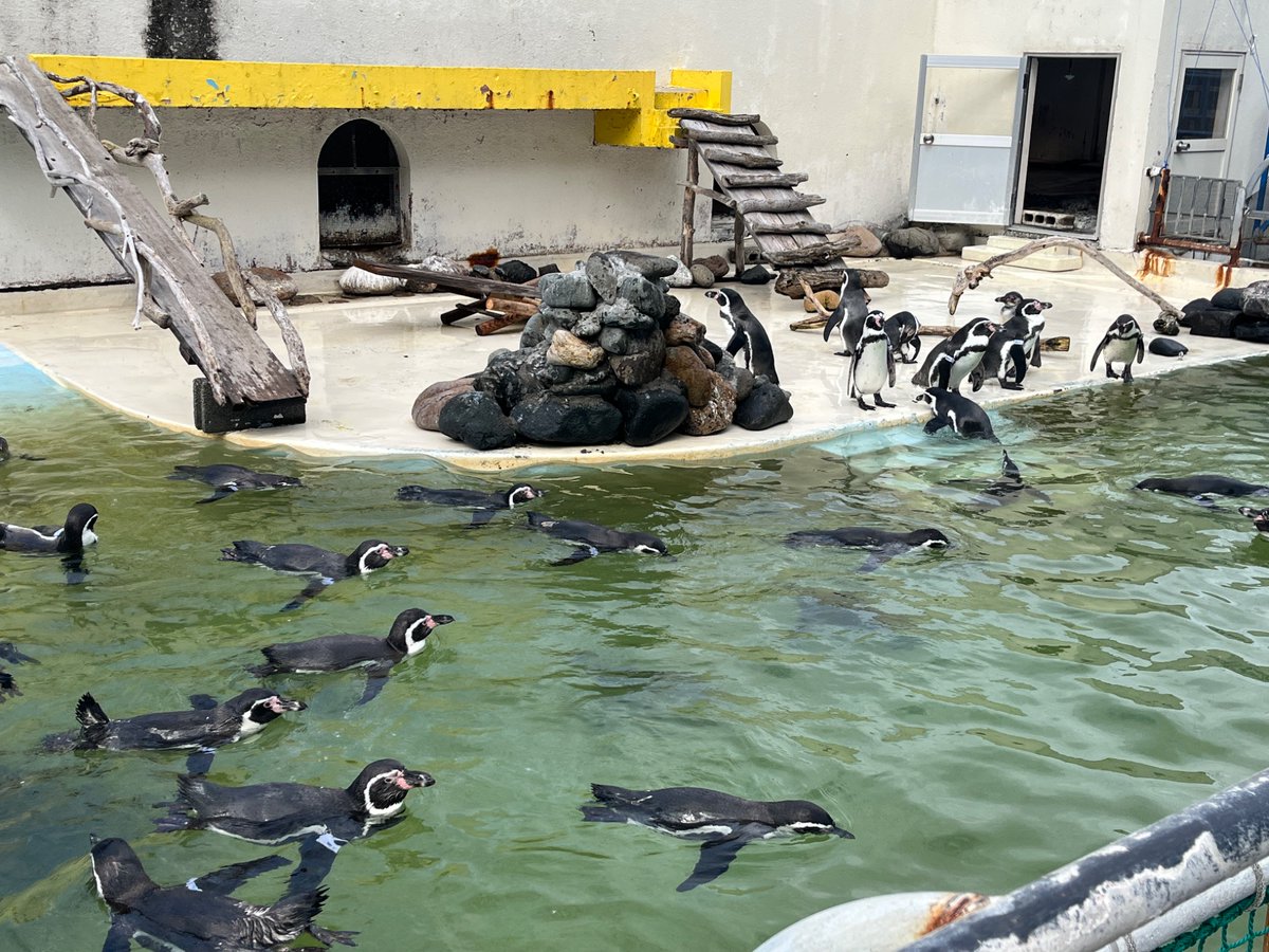 レイちゃんいた