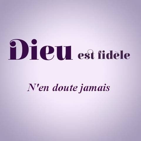 ♥️" Garde-toi de dire en ton coeur: Ma force et la puissance de ma main m'ont acquis ces richesses."🙏

Bon dimanche à vous