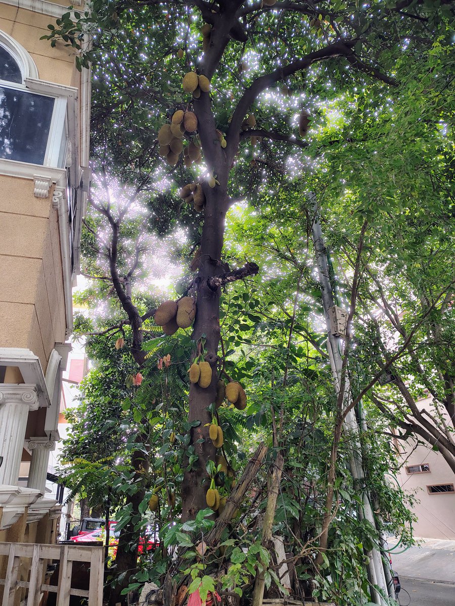 Shaheer Ahmed tweet media