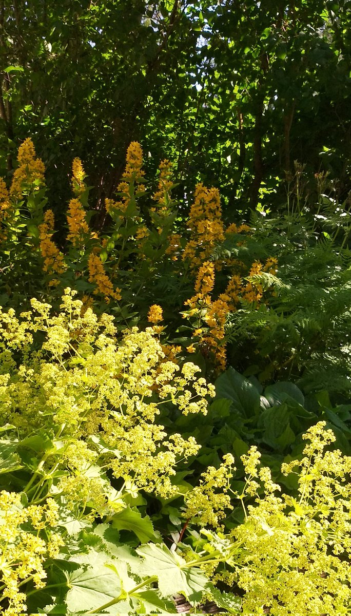 Happy Sunday!😊☀️👋