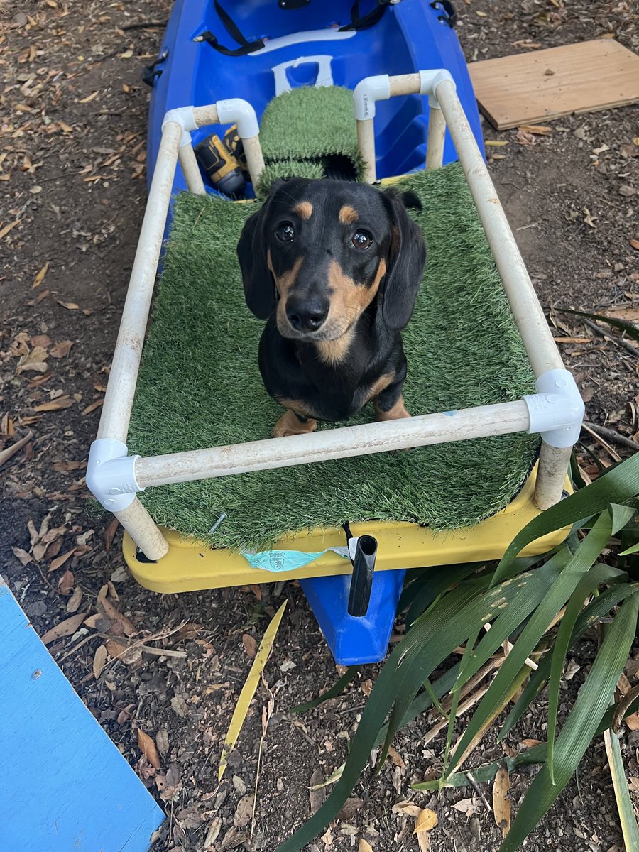 Custom kayak platform for my dog (I don't kayak)