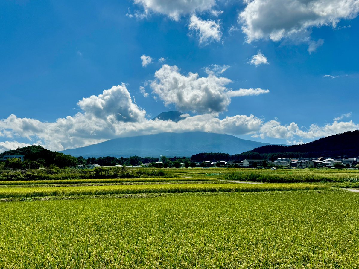 毎年秋は山梨から始まる
農村公園からの富士山もいい感じ
ススキが目立ってきて秋が増えてきたよ