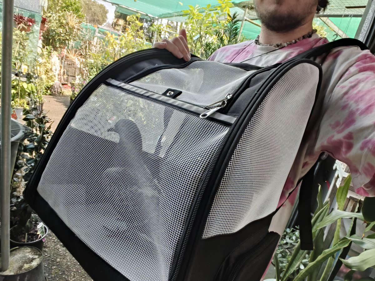 deepc_cryptid's tweet image. Showing my #pigeon son where I spend all my money 😔💚