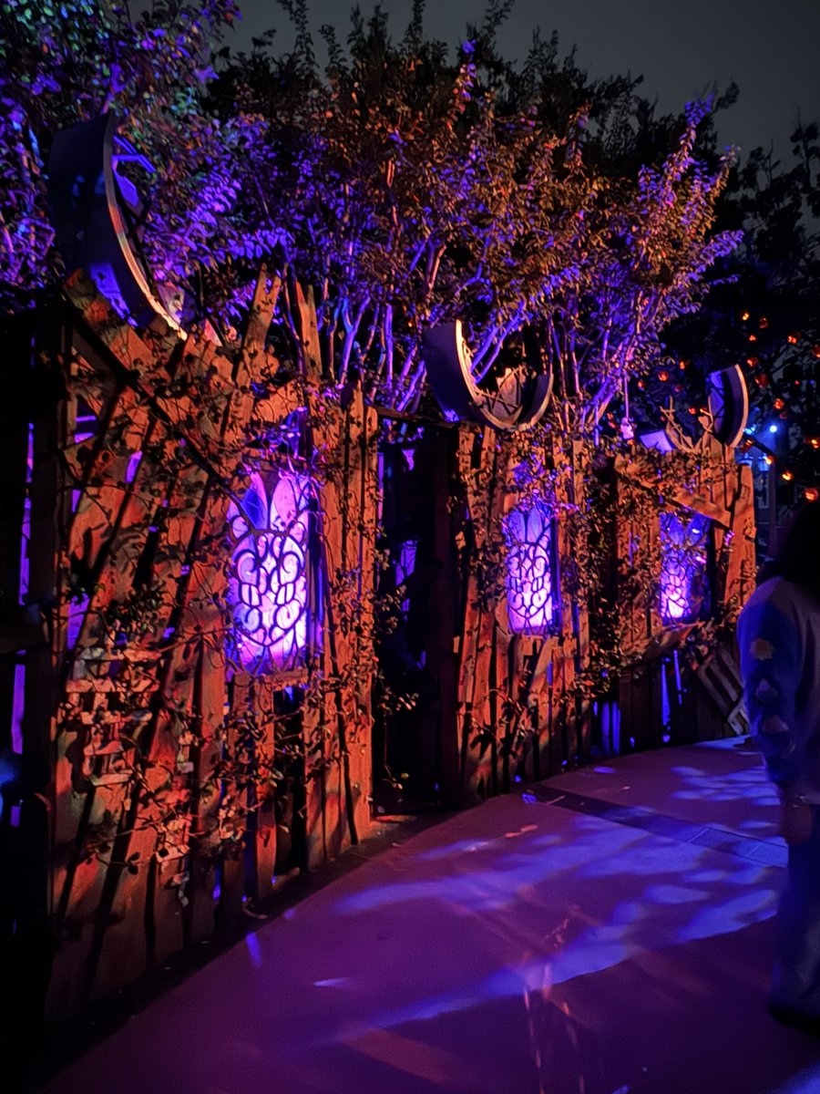 So pretty at night 
<a href="/HorrorNightsORL/">Halloween Horror Nights</a> #HHN34
