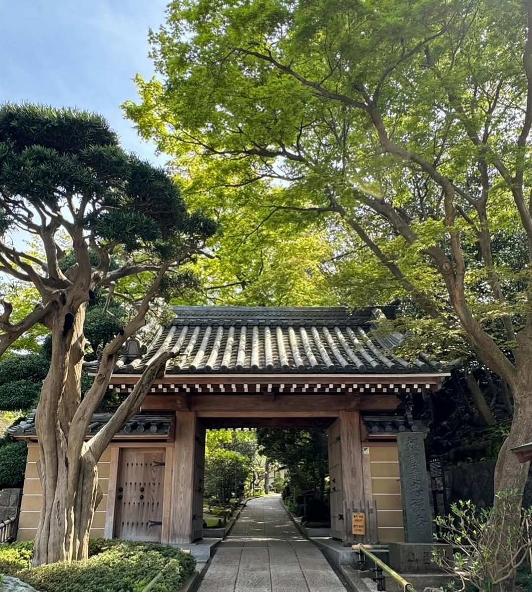 evans14_mike's tweet image. 陽春の候、体験🍵

#抹茶通信
